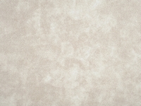 Aniline – 111