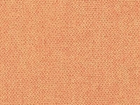 Indigo – 21