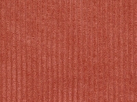 Trendy – 56