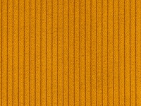 Trendy – 66