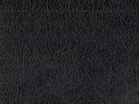 Texas – Black