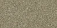 Alcantara–2161 (ALMOND)