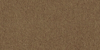 Alcantara–3051 (CAMEL)