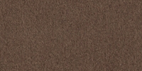 Alcantara–4900 (TERRA)