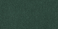 Alcantara–6405 (LICHEN)