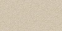 Neve–23 (Birch)