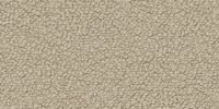 Neve–24 (Oyster Gray)