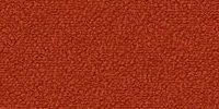 Neve–30 (Chili)